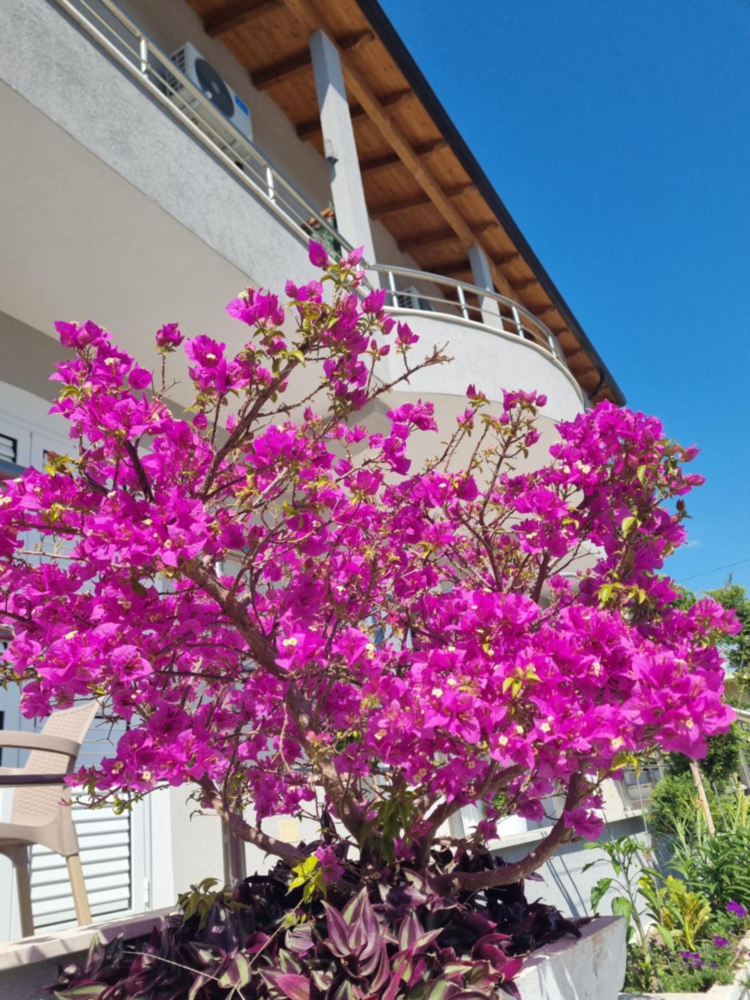 Vila Soleil Vlore Exterior photo